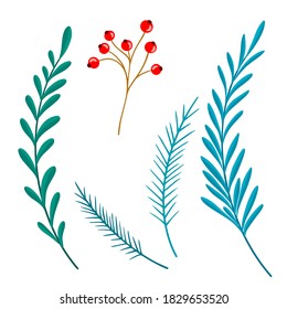 Conjunto de hierbas, ramas, hojas y bayas de invierno de mano en vector. Por la corona y los patrones. Elementos de diseño personalizados patrón tradicional para envolver papel, pancartas, pijamas.