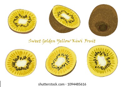 Set of hand-drawn yellow kiwi fruit, single, peeled and sliced fruits. realistic drawing, isolated on white background. Vector illustration