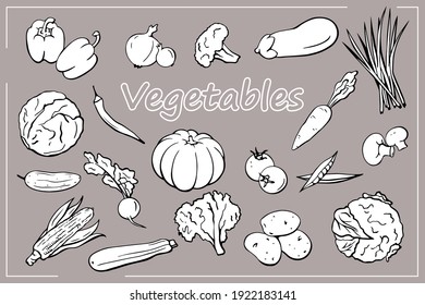 Conjunto de verduras de confección manual en línea. Ilustración vectorial. Maíz, col, pimienta, pimienta, calabaza, zanahoria, coliflor, cebolla, cebolla verde, guisante, papa, brócoli.