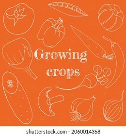 Set of hand-drawning vegetables in line style. Vector illustration.Growing crops