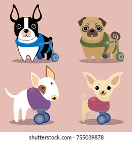 Set of handicapped disabled dogs with wheels prosthesis. Pet animal after injury or car accident. Vector illustration