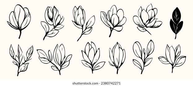 Set of handmade cotton flowers. Flower buds vector illustration. Botanical illustration for floral background. Design element for postcard, poster, cover, invitation. no AI created