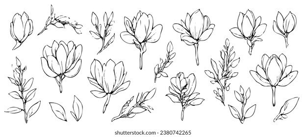 Set of handmade cotton flowers. Vector hand drawn cotton flower on a white background. Design element for postcard, poster, cover, invitation. no AI created