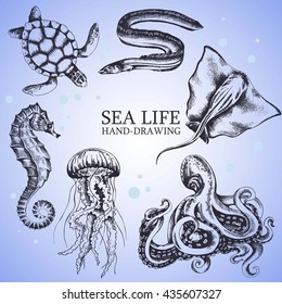 set handmade sketches sea animals isolated on white background. Underwater life, stingray, octopus, seahorse, turtle, eel, jellyfish - Stock Vector