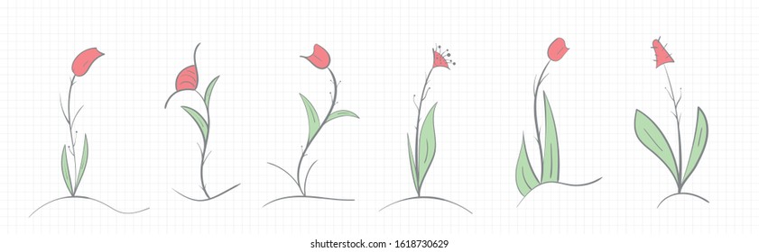 Set of handmade wildflowers on a notebook sheet on a light background