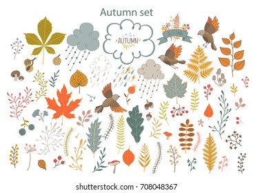 Set of hand-painted autumn elements.Vector