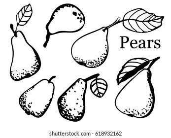 Set of hand-painted chopped, ripe pears for your design. Bright fruits. Isolates. Colorful elements for cards, packaging, paper, typography, business cards, tissues. Vector illustration