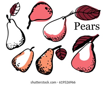 Set of hand-painted chopped, ripe pears for your design. Bright fruits. Isolates. Colorful elements for cards, packaging, paper, typography, business cards, tissues. Vector illustration