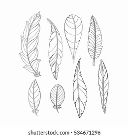 Set of hand-painted feathers. The pattern for the adult coloring books.
