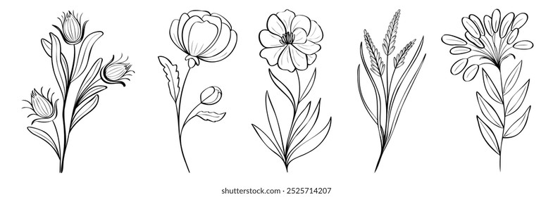 Un conjunto de flores y hierbas pintadas a mano. Ilustración vectorial botánica monocromática. Elementos de una rama de flor elegante para una postal, invitación de boda, citas, blogs, marcos, etiquetas, Fondo de pantalla