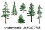 Set of hand-painted Forest Firs and Pines in watercolor. Design For Christmas Card Design, Banners, Patterns. Vector