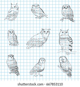 Set of a hand-painted owls on a notebook sheet