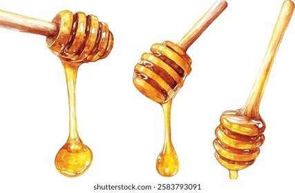 Set of Hand-Painted Watercolor Honey Dripping from Stick Botanical vector illustrations