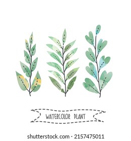 Set of handpainted watercolor vector flowers and leaves. vector design.