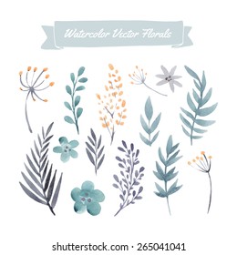 Set of handpainted watercolor vector flowers and leaves. Design element for summer wedding, spring congratulation card. Perfect floral elements for save the date card. 