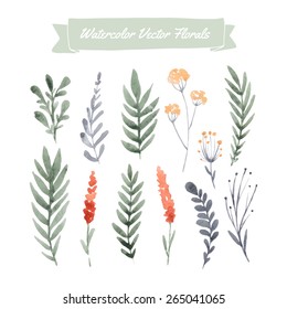 Set of handpainted watercolor vector flowers and leaves. Design element for summer wedding, spring congratulation card. Perfect floral elements for save the date card. 