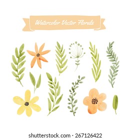Set of handpainted watercolor vector flowers and leaves. Design element for summer wedding, spring congratulation card. Perfect floral elements for save the date card. Artwork for your design.  