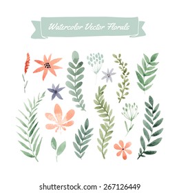 Set of handpainted watercolor vector flowers and leaves. Design element for summer wedding, spring congratulation card. Perfect floral elements for save the date card. Artwork for your design.  