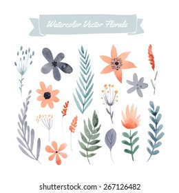 Set of handpainted watercolor vector flowers and leaves. Design element for summer wedding, spring congratulation card. Perfect floral elements for save the date card. Artwork for your design.  