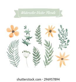 Set of handpainted watercolor vector flowers and leaves.Design element for summer wedding, spring congratulation card. Perfect floral elements for save the date card. Unique artwork for your design. 
