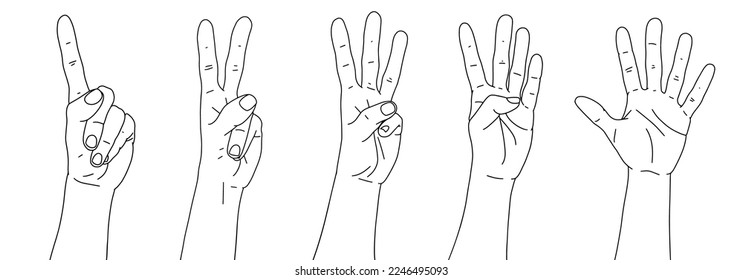 Set of hands. Counting from one to five with your hands. Finger-counting. Body language. Communication gestures concept.  Linear black and white hands. Number 1, 2, 3, 4, 5 with hand sign