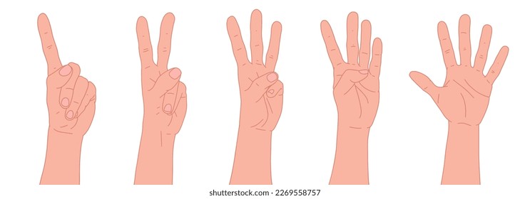 Set of hands. Counting from one to five with your hands. Finger-counting. Body language. Communication gestures concept. Number 1, 2, 3, 4, 5 with hand sign