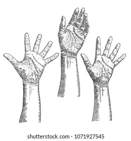 Set of hands in different gestures and emotions. Hand signs isolated on white background. Vector.