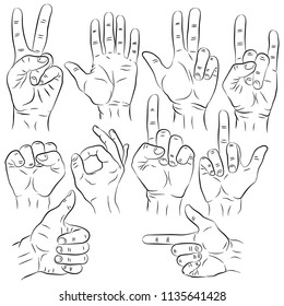 Set Hands Different Gestures Emotions Signs Stock Vector (Royalty Free ...