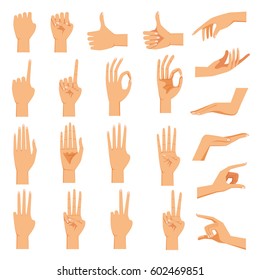 Set of hands in different gestures emotions palm ,hand back, view and signs One to ten on white background isolated vector illustration