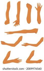 set of hands with different gestures isolated on white background. anatomical references. arm from shoulder to palm. muscles of the arm in front and side. parts of the human body. vector flat.