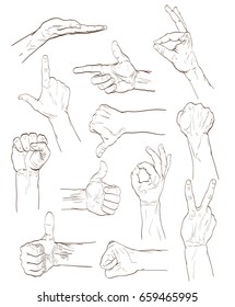 set of hands with different gestures on white. hand drawn sketches vector illustration
