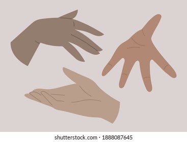 A set of hands with different skin color, diversity, gestures