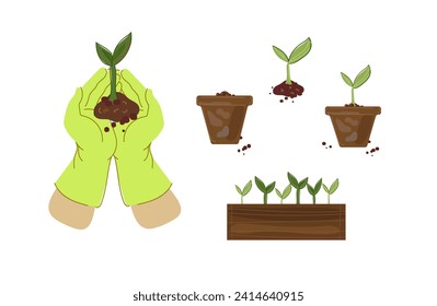 Set Hands in garden gloves holding small tree for planting. Home gardening. Set vector illustrations in flat cartoon doodle style.