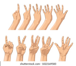set of hands gestures count one, two, three, four, five