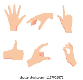 set of hands, gestures and symbols isolated on white vector background, flat style