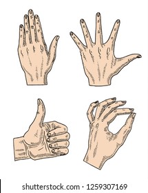 set of hands, gestures and symbols isolated on white vector background, graphic style.
