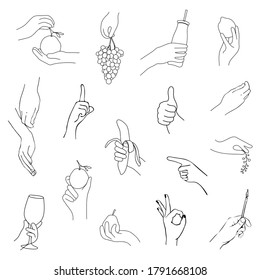 Set of hands holding fruits and berries, vector linear silhouette isolated on a white background.Vector logo element.