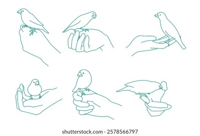 
set of hands holding with Java sparrow
