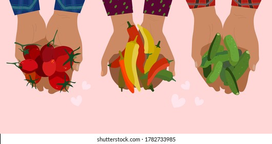 Set of hands holding organic vegetables. Checkered shirt sleeves Autumn farming concept. Harvesting. Fresh tomatoes, cucumbers and peppers. Trendy vector flat illustration. For vegan cafe, phone case