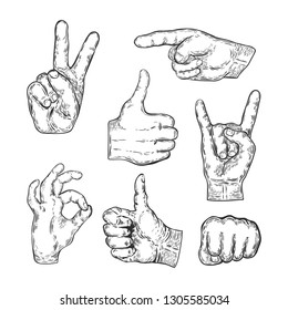 Set of the hands isolated on white. Vector illustration.
