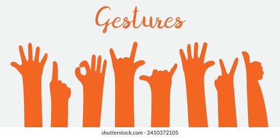 Set of hands showing different gestures. Isolated vector illustration