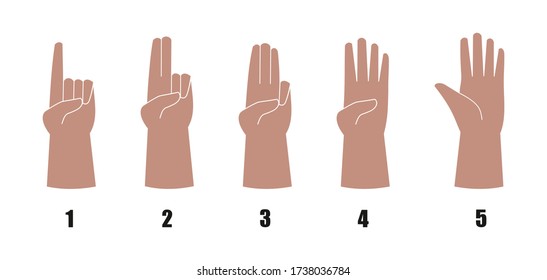 A set of hands showing one to five fingers. Vector illustration