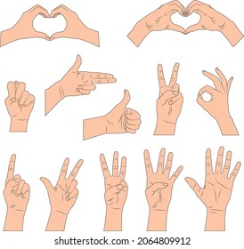 Set of hands showing various gestures and symbols. Flat illustration of female and male hands. Isolated. Vector