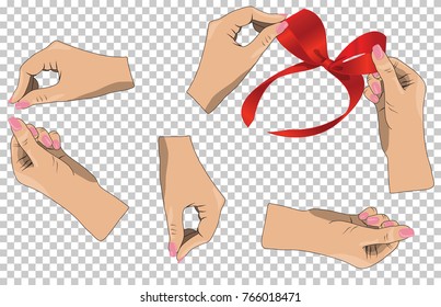 Set of hands that decorate and hold. Vector illustration, transparent background.