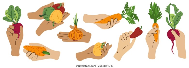 Set of hands with vegetables. A hand holds peppers, carrots, beets and onions. Vector illustration for postcard, brochure, cover.