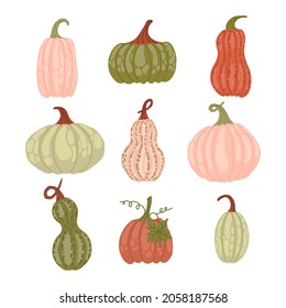 Conjunto de calabazas de mano. Colección plana y colorida. Ilustración vectorial de material.