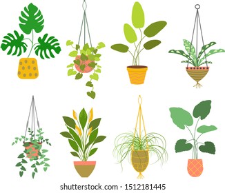  Set of hanging detailed planters made of cotton cord, potted plants collection for Indoor and outdoor or office, landscape garden.Cartoon flat vector illustration  isolated on white background.