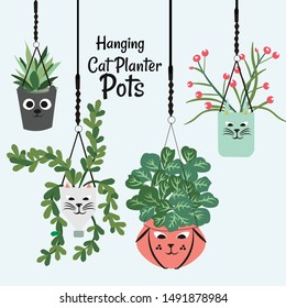 Set of hanging plants growing in cat planter pots. beautiful handmade home decorations isolated
