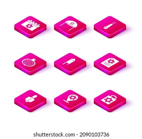 Set Hanukkah dreidel, Star of David, Pomegranate, Firework rocket, Shopping bag with star david, Torah scroll, Burning candle and Jewish kippah icon. Vector