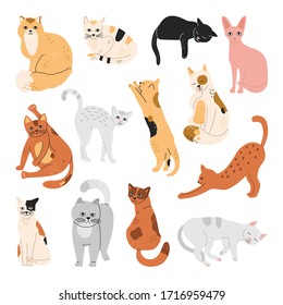 Set of happy cats, stickers of funny playing pets, sleeping, lying, standing and washing, hand drawn vector illustration in flat cartoon style, pastel colors, isolated on white background.